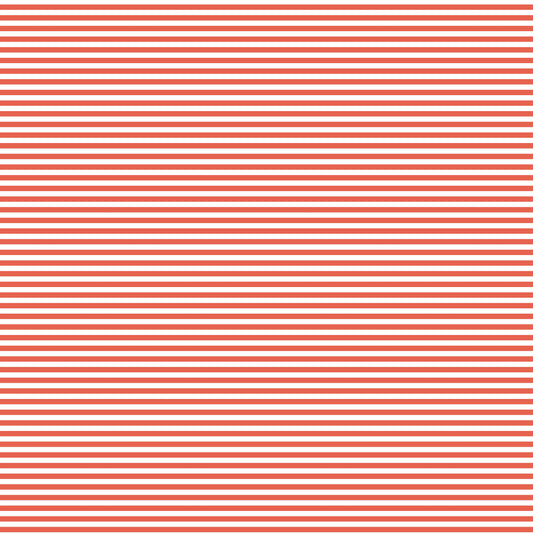 DV2977 FUNDAMENTALS 45870 STRIPE GEORGIA