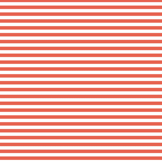 DV2978 FUNDAMENTALS 45748 STRIPE GEORGIA