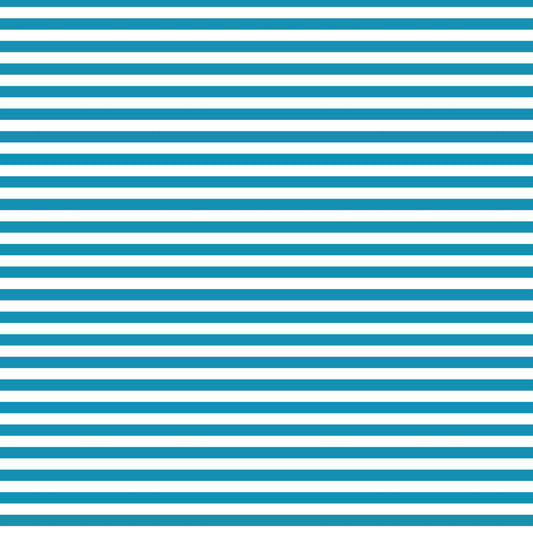 DV3006 FUNDAMENTALS 45748 STRIPE SUMMER BAY