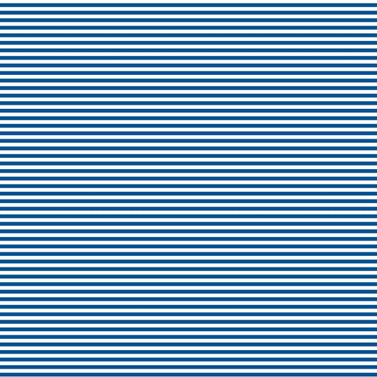DV3012 FUNDAMENTALS 45870 STRIPE NAUTICAL