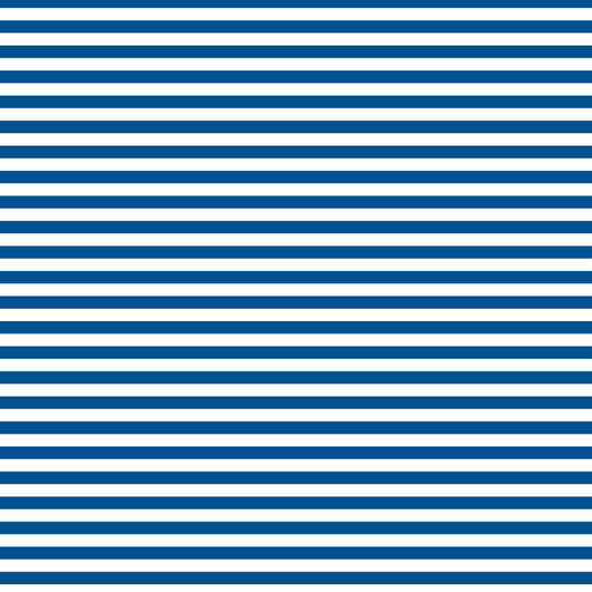 DV3013 FUNDAMENTALS 45748 STRIPE NAUTICAL
