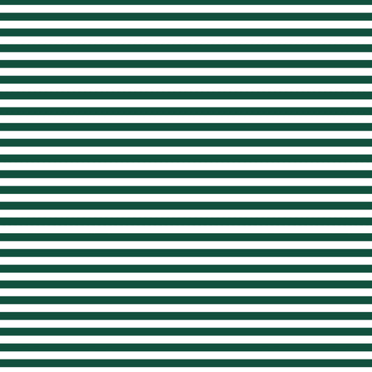 DV3020 FUNDAMENTALS 45748 STRIPE WHEELIE BIN