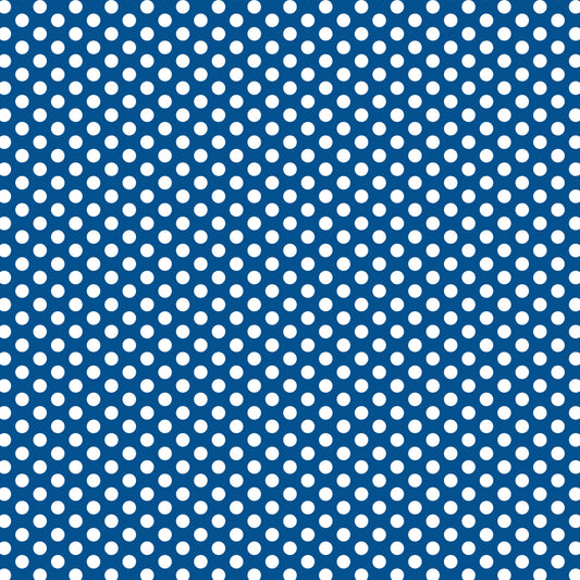 DV3040 FUNDAMENTALS 45748 SPOT NAUTICAL