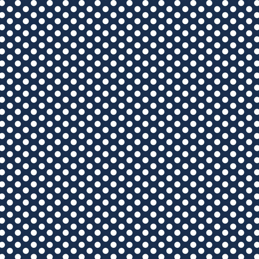 DV3041 FUNDAMENTALS 45748 SPOT GAMBIER BLUE
