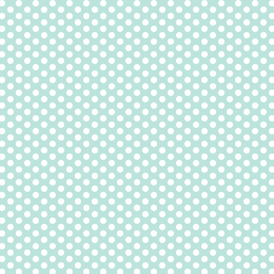 DV3042 FUNDAMENTALS 45748 SPOT SEAFOAM
