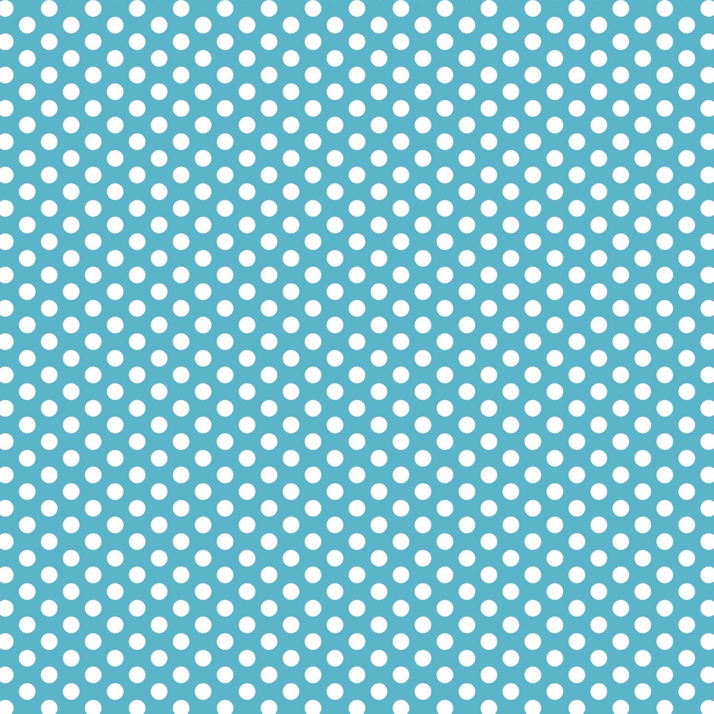DV3043 FUNDAMENTALS 45748 SPOT BARRIER BLUE