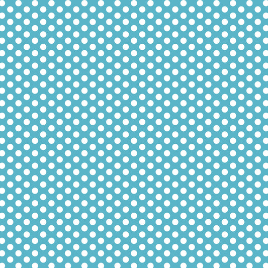 DV3043 FUNDAMENTALS 45748 SPOT BARRIER BLUE