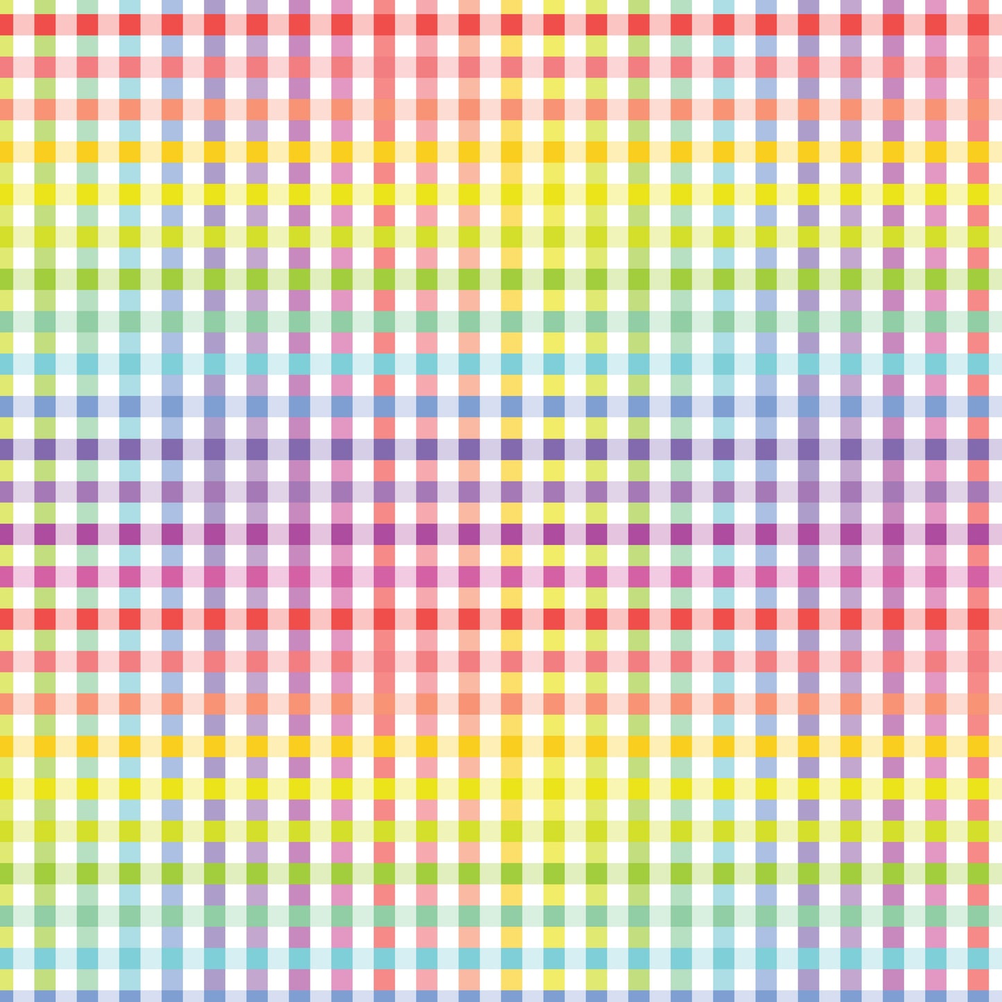 DV3050 FUNDAMENTALS 1/4 CHECK RAINBOW