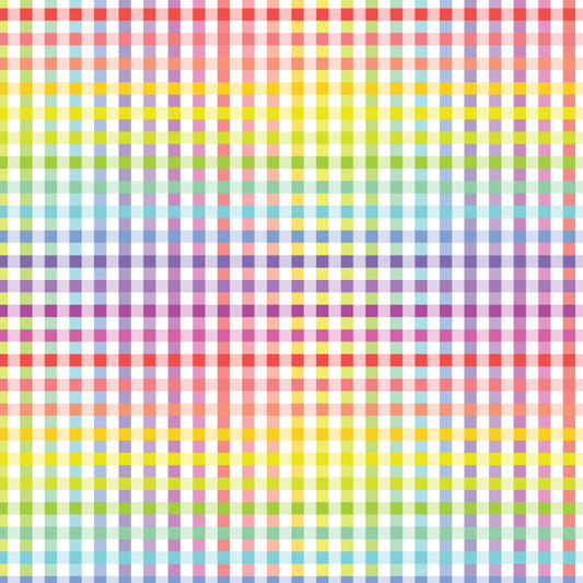 DV3050 FUNDAMENTALS 1/4 CHECK RAINBOW