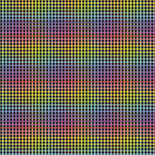 DV3054 FUNDAMENTALS 1/8 STRIPE RAINBOW CHECK